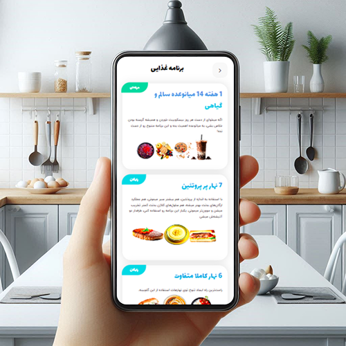 mealprep for busy lifes